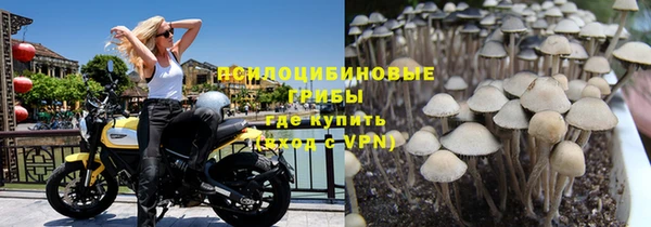 прущая мука Вязьма